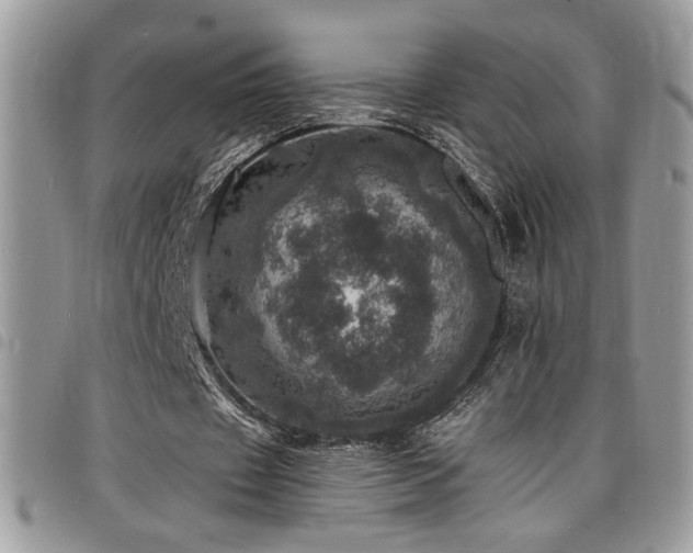X0000098200433200804241256