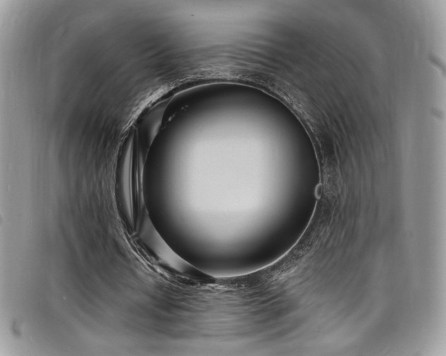 X0000098200434200804241256