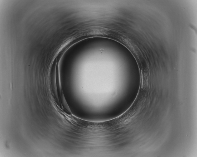 X0000098200435200804241256