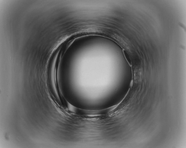 X0000098200436200804241256