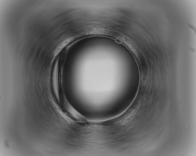 X0000098200437200804241256