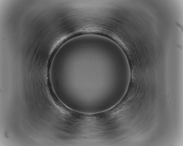 X0000098200438200804241256