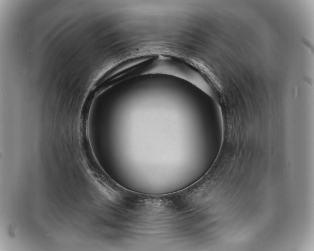 X0000098200439200804241256