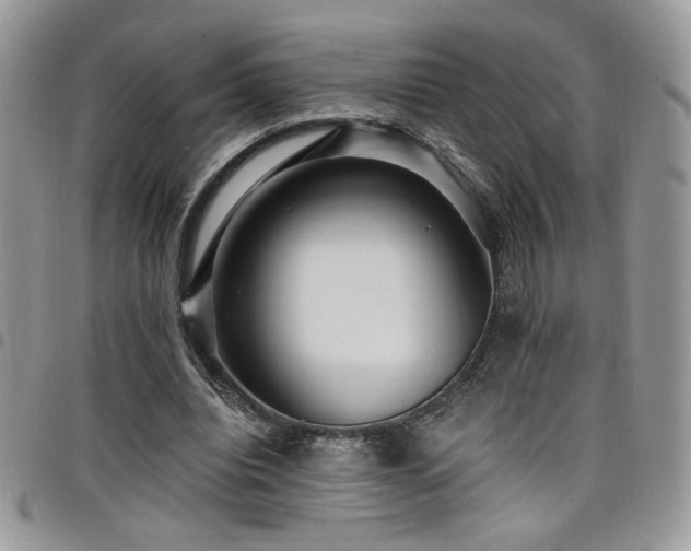 X0000098200440200804241256