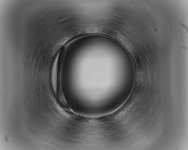 X0000098200441200804241256