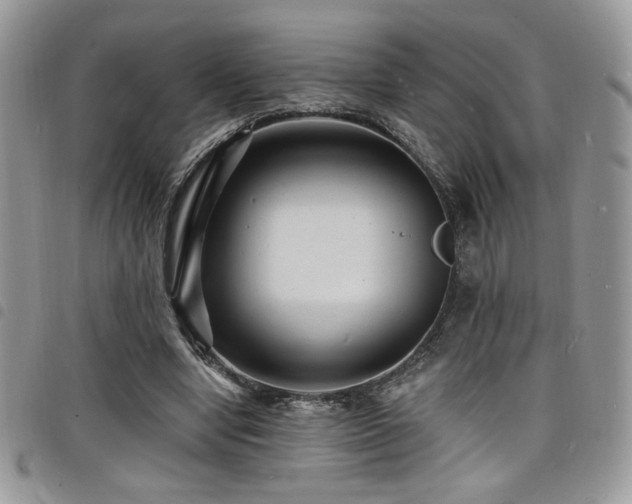 X0000098200442200804241256