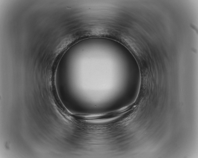 X0000098200443200804241256