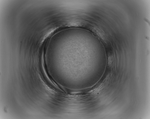 X0000098200444200804241256