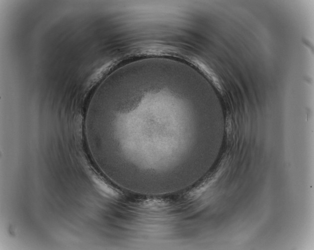X0000098200445200804241256