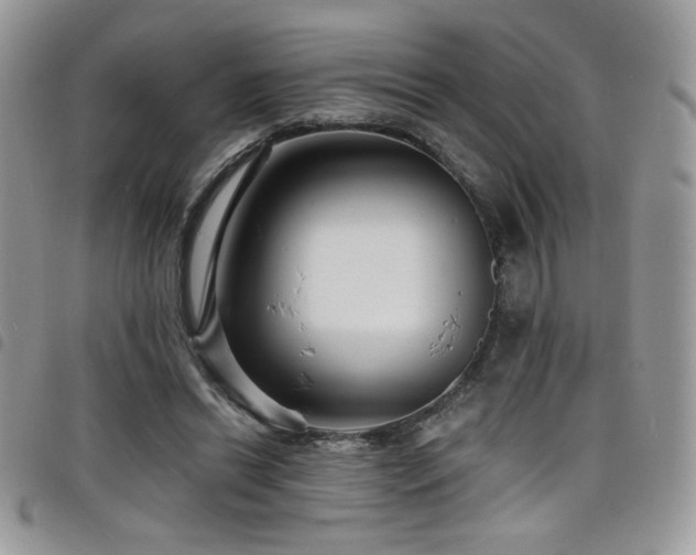 X0000098200446200804241256