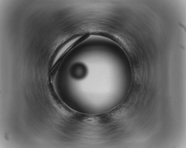 X0000098200447200804241256