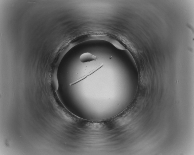 X0000098200449200804241256