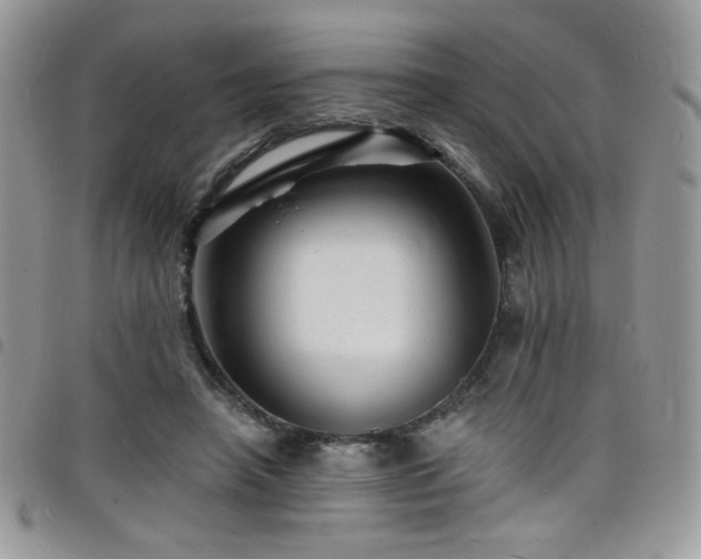 X0000098200450200804241256