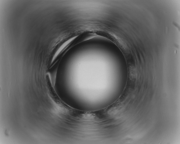 X0000098200451200804241256