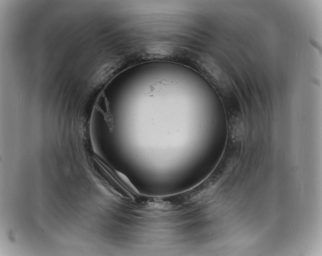 X0000098200455200804241256