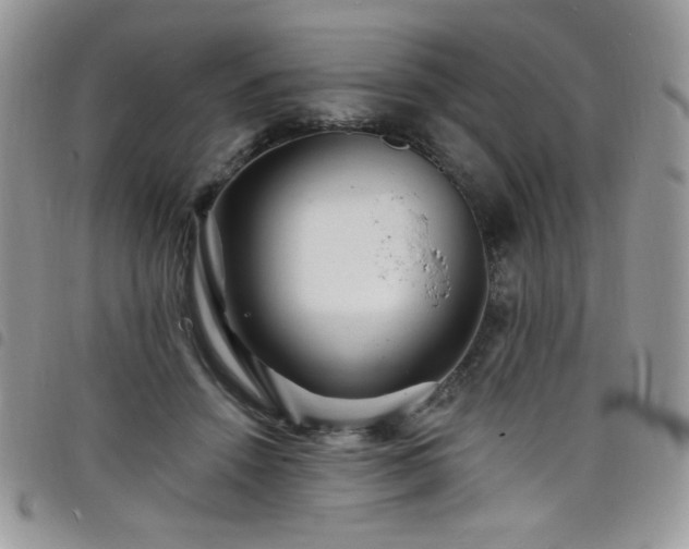 X0000098200456200804241256