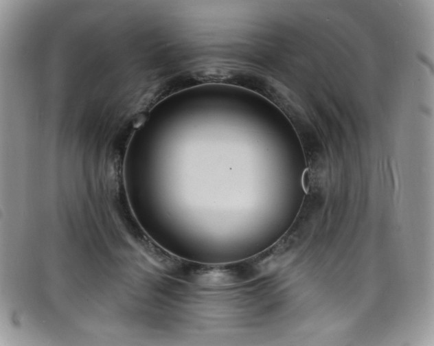 X0000098200460200804241257