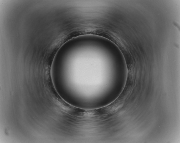 X0000098200462200804241257