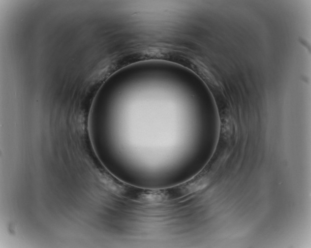 X0000098200466200804241257