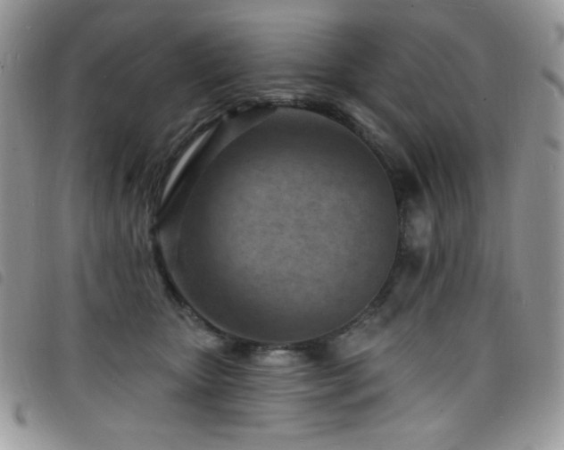 X0000098200467200804241257
