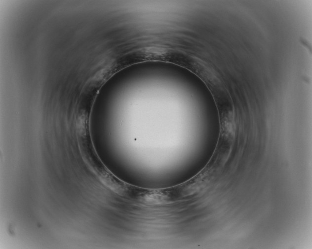 X0000098200468200804241257