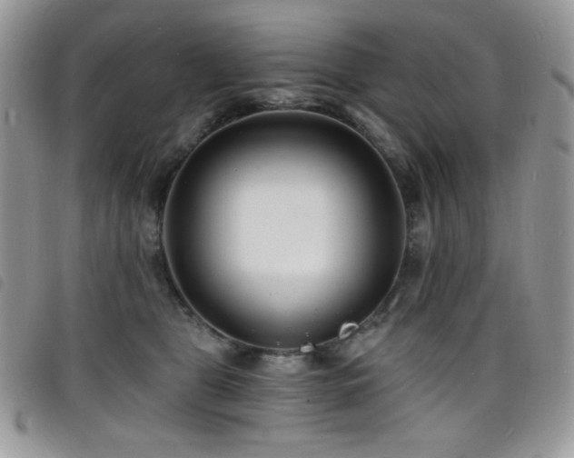 X0000098200469200804241257