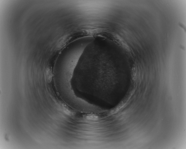 X0000098200471200804241257