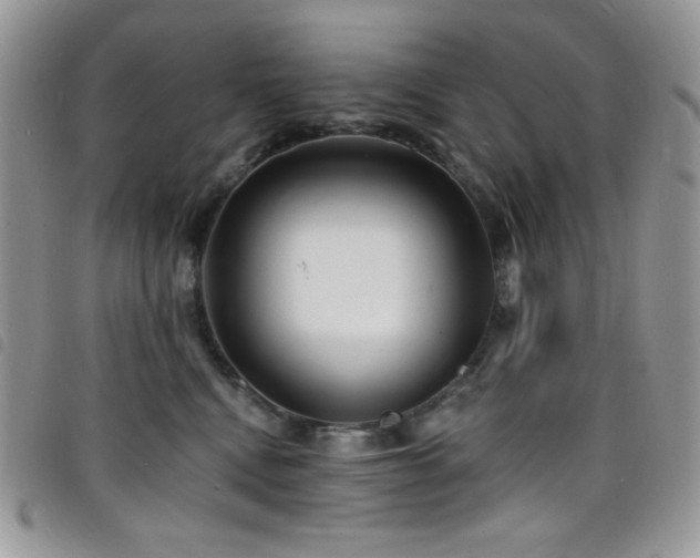 X0000098200472200804241257