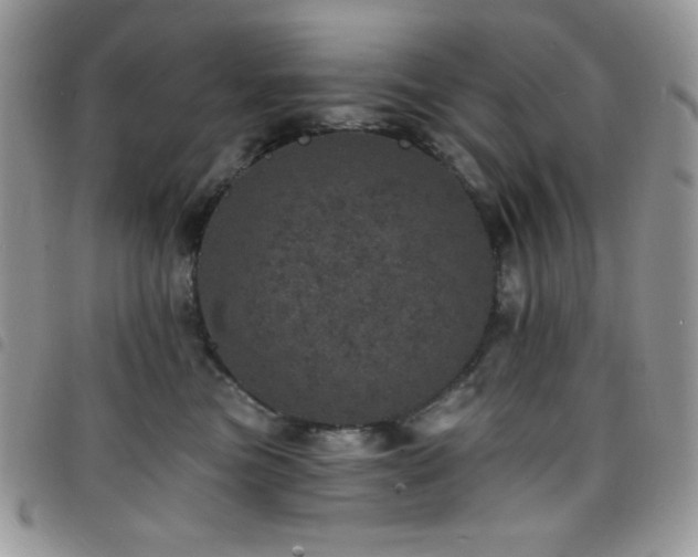 X0000098200473200804241257