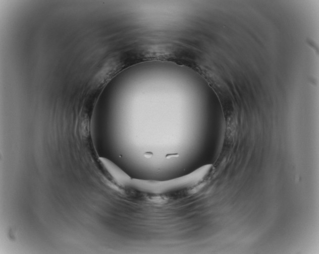 X0000098200474200804241257