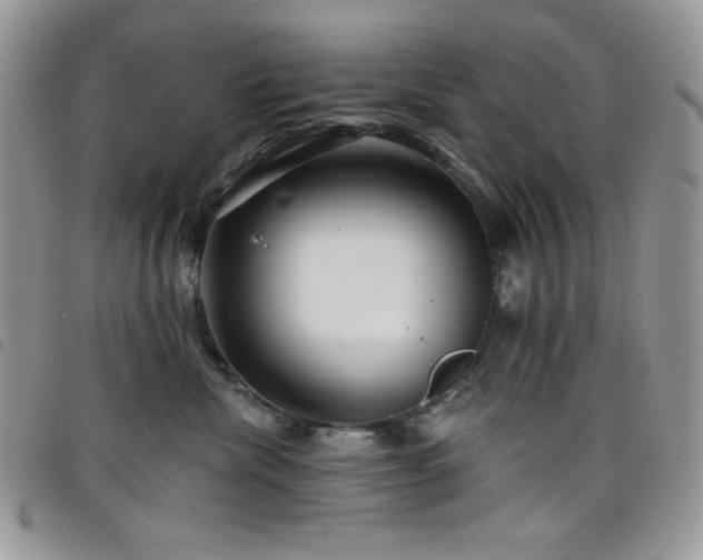 X0000098200476200804241257