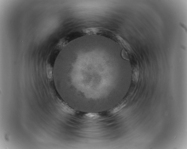 X0000098200477200804241257