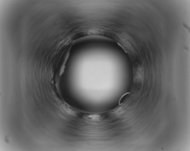 X0000098200478200804241257