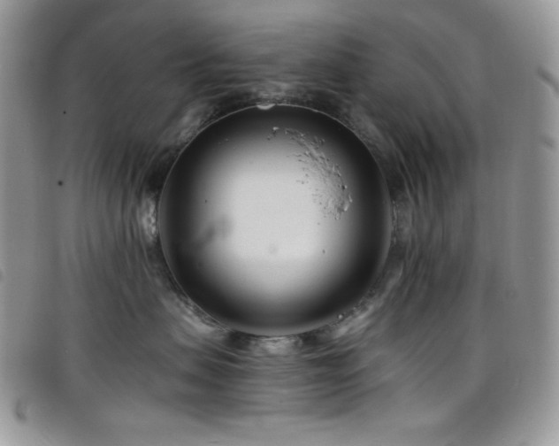 X0000098200479200804241257