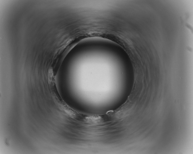X0000098200480200804241257