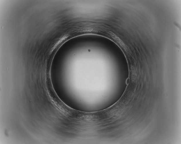 X0000098200482200804241256