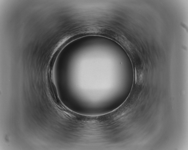X0000098200483200804241256