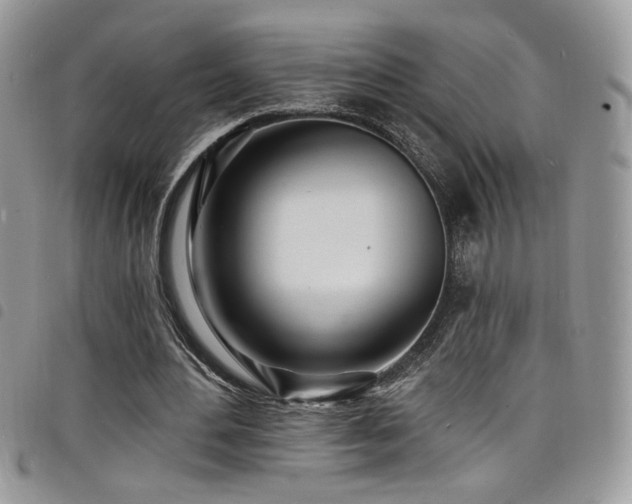 X0000098200484200804241256