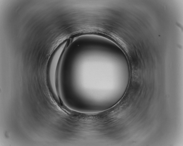 X0000098200485200804241256