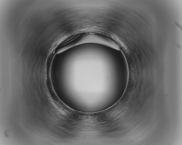 X0000098200486200804241256