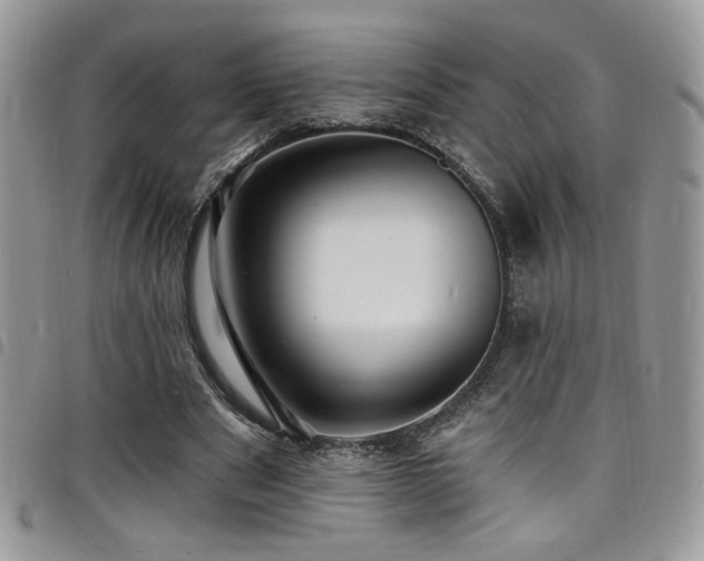 X0000098200489200804241256
