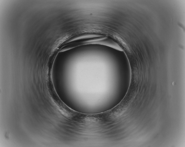 X0000098200490200804241256