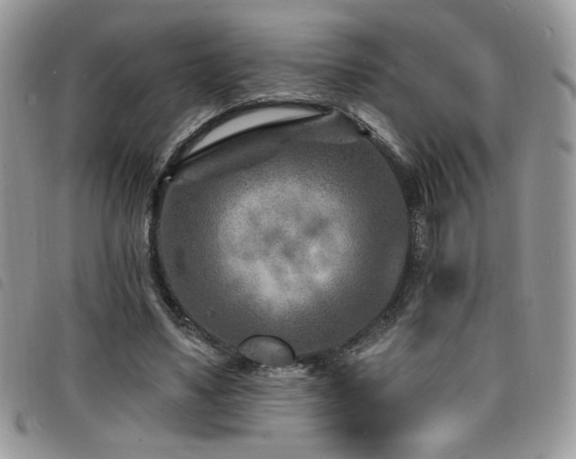 X0000098200491200804241256