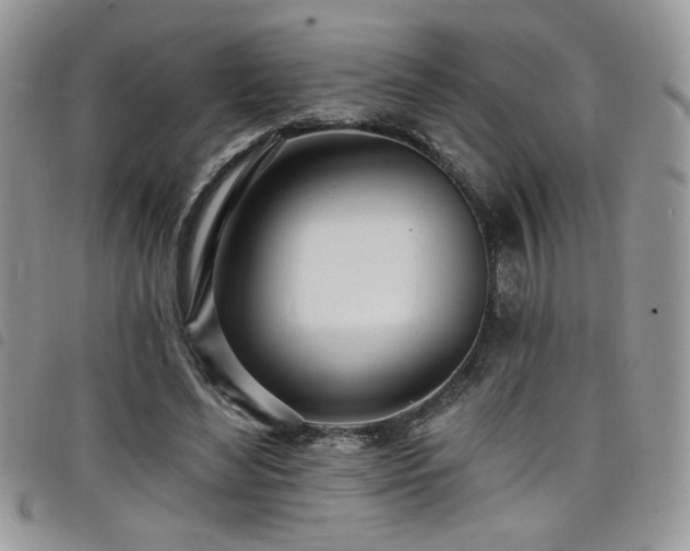 X0000098200492200804241256