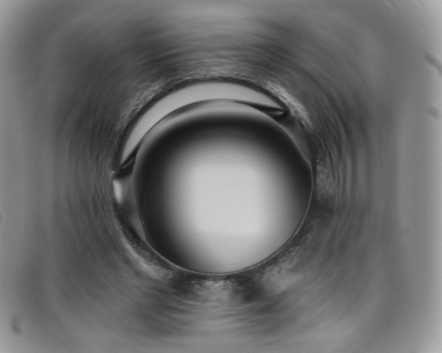 X0000098200493200804241256