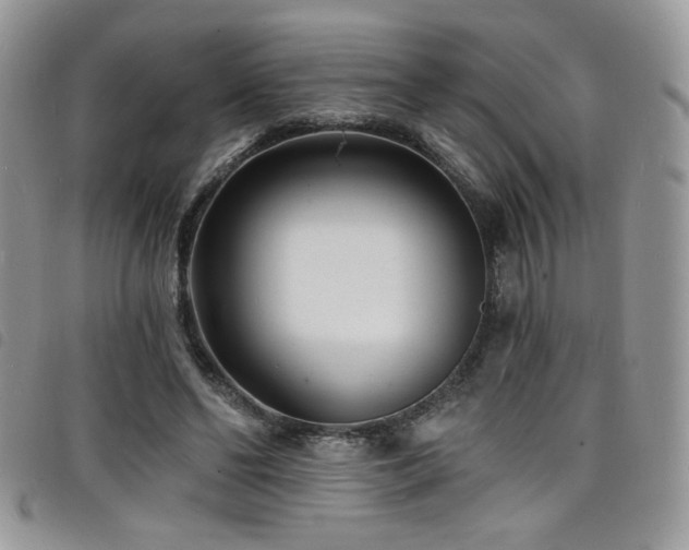 X0000098200494200804241256