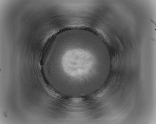 X0000098200495200804241256