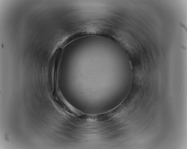 X0000098200496200804241256