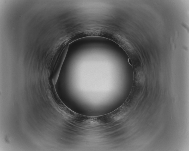 X0000098200498200804241256