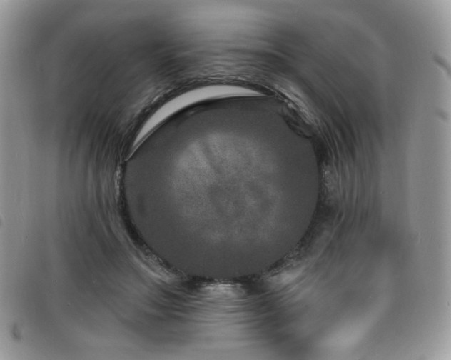 X0000098200499200804241256